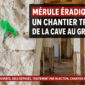 merule apres travaux traitement 85x85
