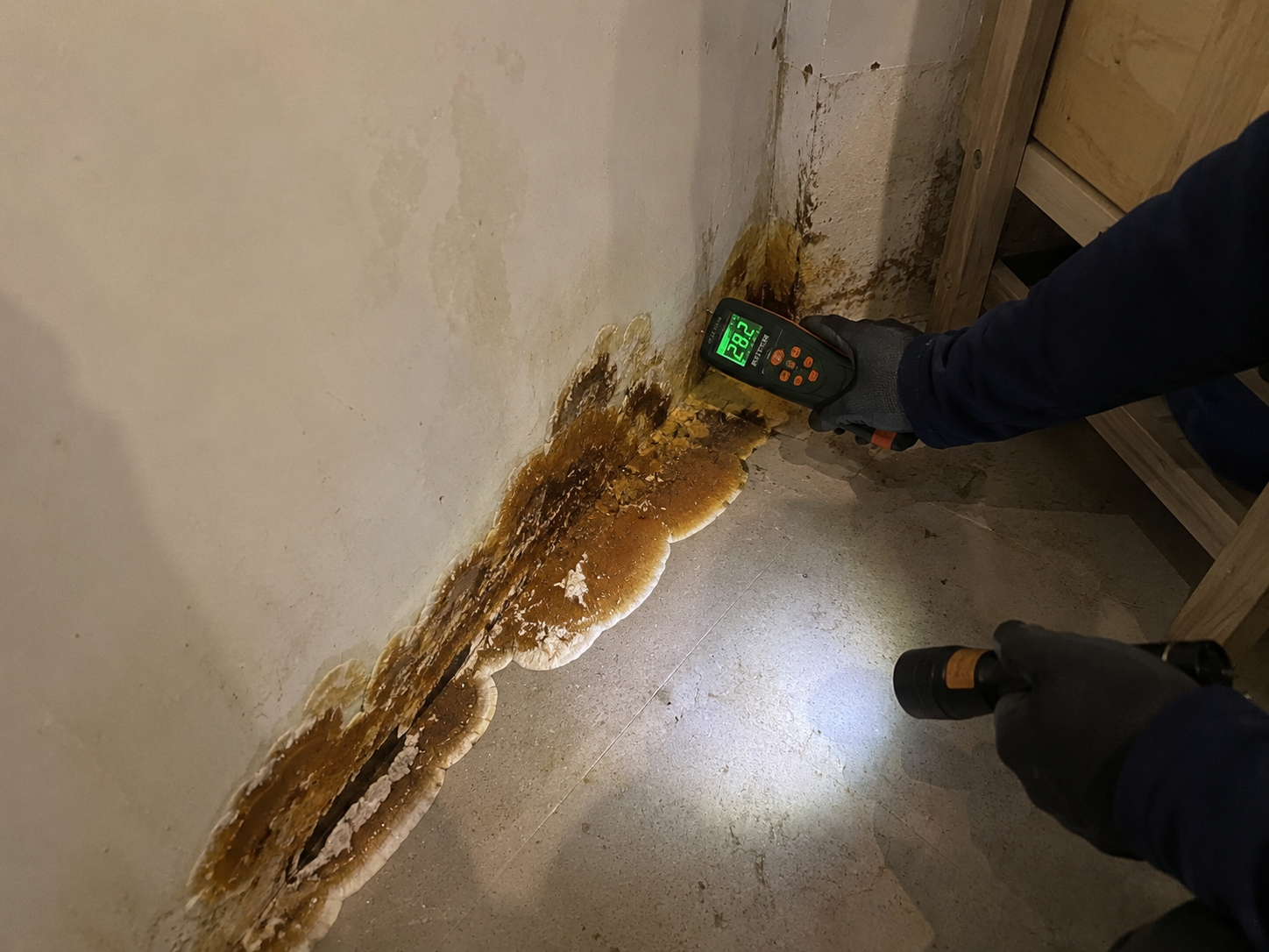 peux t on habiter une mérule avec mérule 